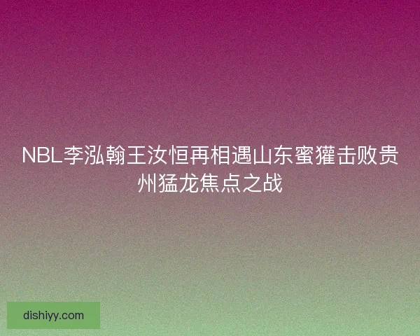 NBL李泓翰王汝恒再相遇山东蜜獾击败贵州猛龙焦点之战 NBL李泓翰王汝恒再相遇山东蜜獾击败贵州猛龙焦点之战