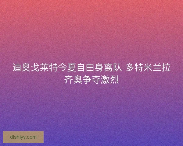 迪奥戈莱特今夏自由身离队 多特米兰拉齐奥争夺激烈 迪奥戈莱特今夏自由身离队 多特米兰拉齐奥争夺激烈