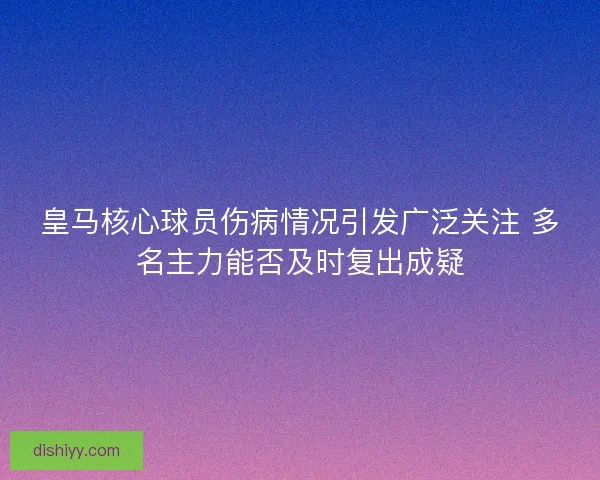 皇马核心球员伤病情况引发广泛关注 多名主力能否及时复出成疑